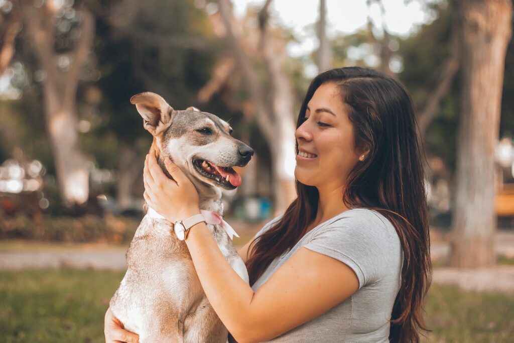 How To Get Sap Out Of Dog Fur In 4 Easy Steps Lovely Pets