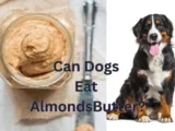 Can dogs eat almond butter!  Almond butter can be easier to digest if it doesn't have any added salt, sugar, or preservatives.