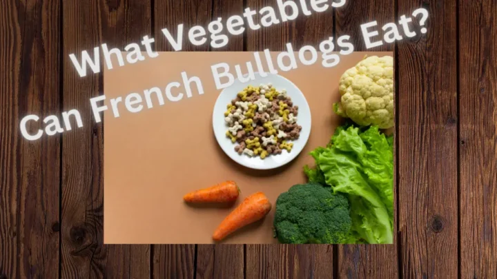 What Vegetables Can French Bulldogs Eat? Which Are The Safe Ones
