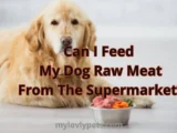 Can I Feed My Dog Raw Meat From The Supermarket?