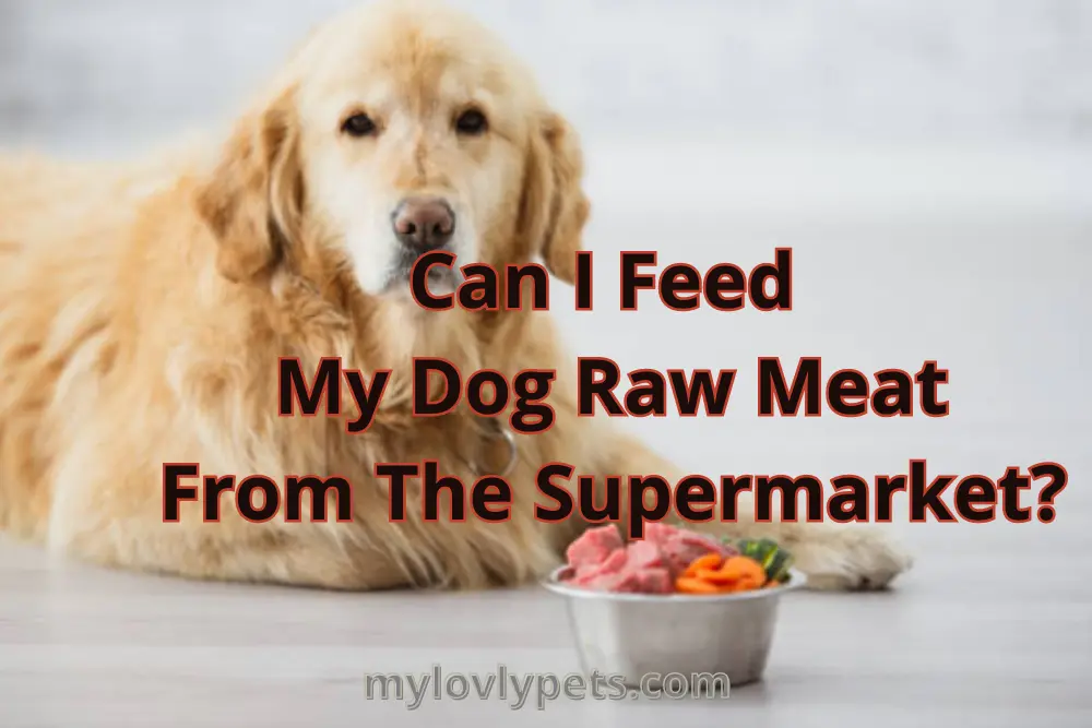 can-i-feed-my-dog-raw-meat-from-the-supermarket