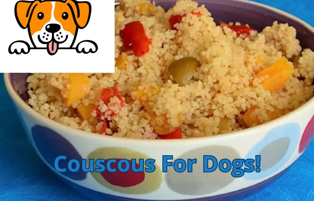 Couscous For Dogs! Can Dogs Eat Couscous?