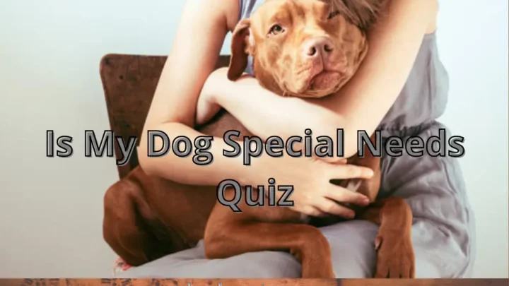 Is My Dog Special Needs Quiz-