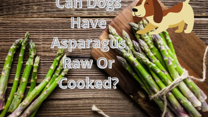 Can Dogs Have Asparagus Raw Or Cooked?
