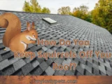 How Do You Keep Squirrels Off Your Roof