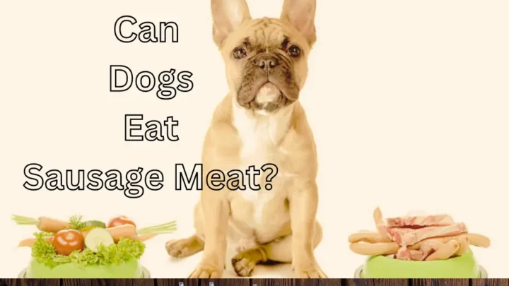 Can Dogs Eat Sausage Meat? What is Truth!