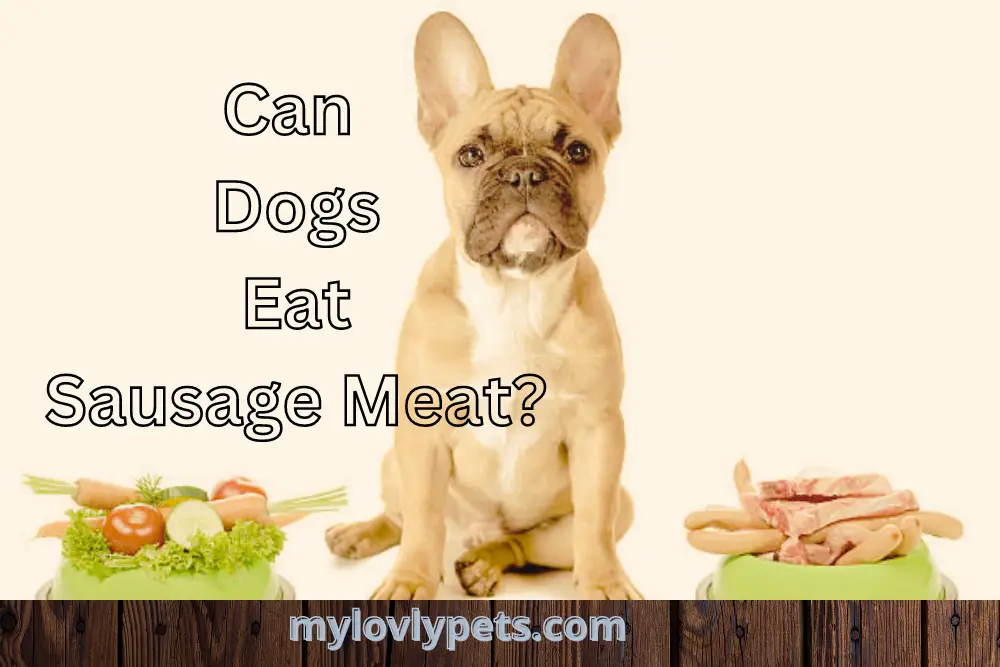Can Dogs Eat Sausage Meat