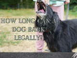 How Long Can a Dog Bark Legally?