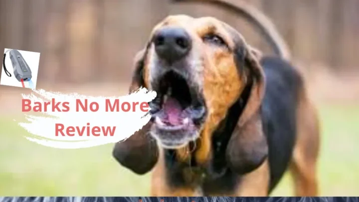 Barks No More Review: A Solution for Peaceful Dog Ownership