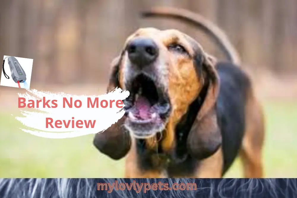 Bark No More Reviews