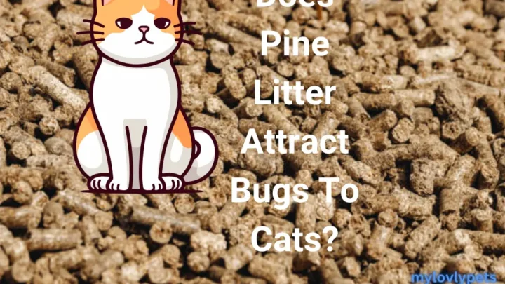 Does Pine Litter Attract Bugs To Cats? Exploring the Facts