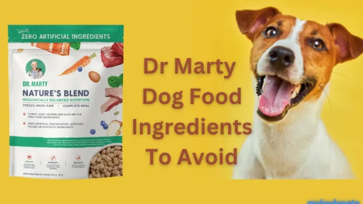 Dr Marty Dog Food Ingredients To Avoid/A Thorough Study