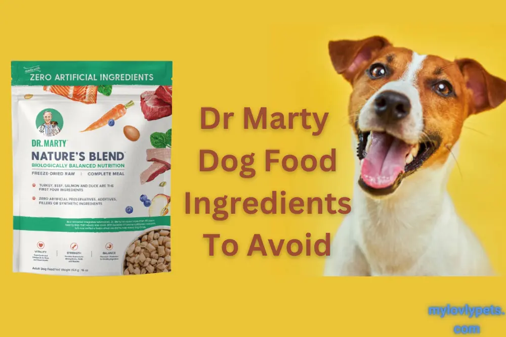 Marty’s Dog Food: Nourishing Your Canine Companion