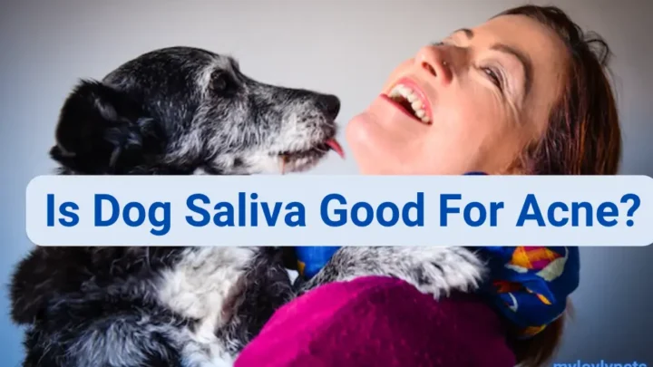 Is Dog Saliva Good for Acne? The Myth Busted