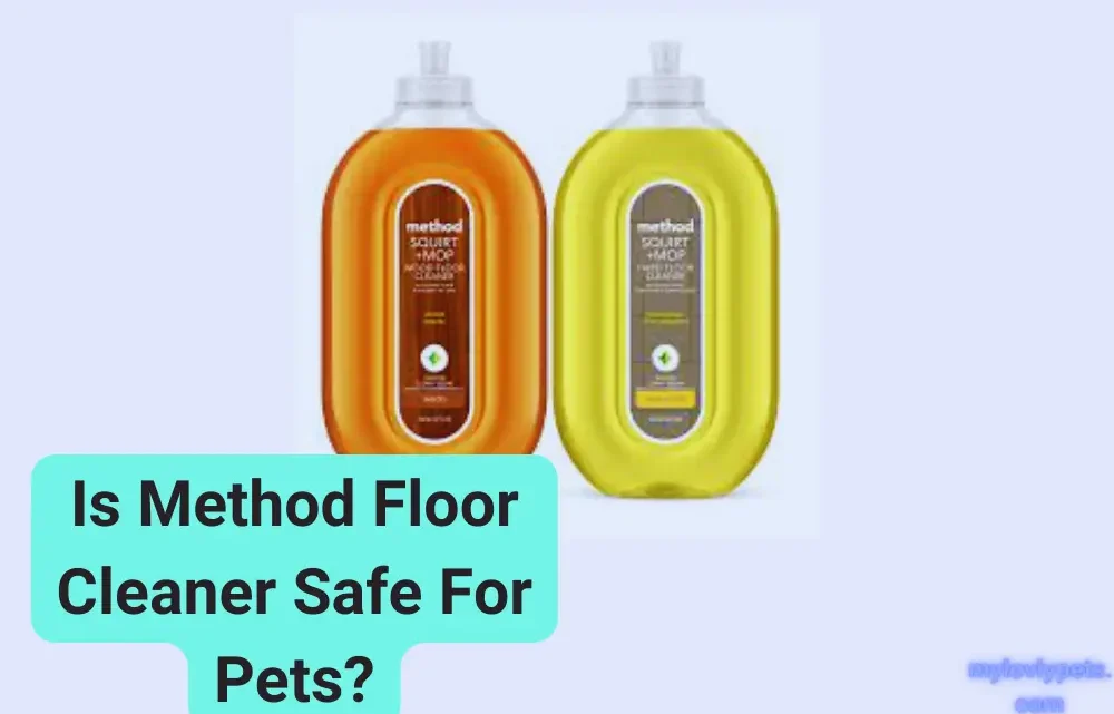 Is Method Floor Cleaner Safe For Pets? Is Method Floor Cleaner Safe For Pets?