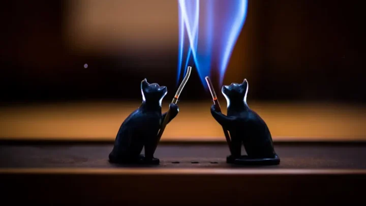 Can cats see infrared light? Exploring Feline Vision and Perception