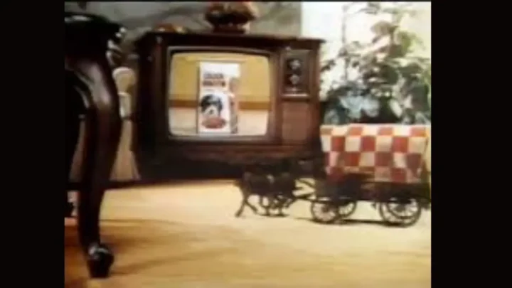 What Happened to Chuck Wagon Dog Food? Stay Informed