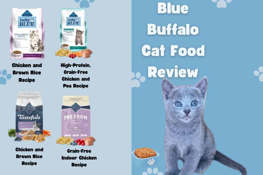 Blue Buffalo Cat Food Review