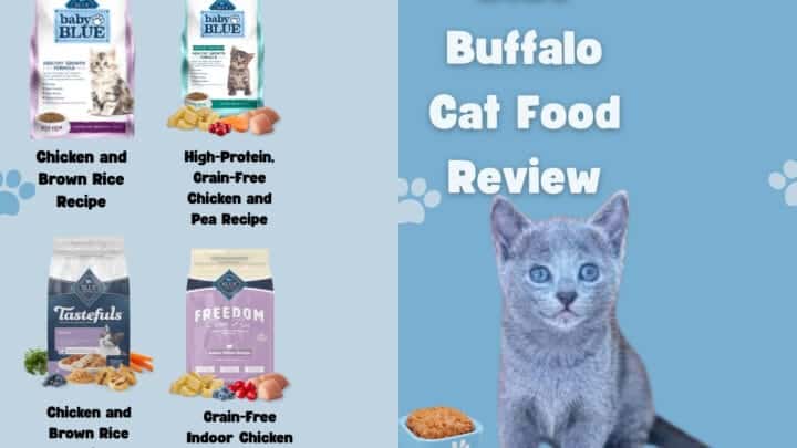 Is Blue Buffalo Good Cat Food